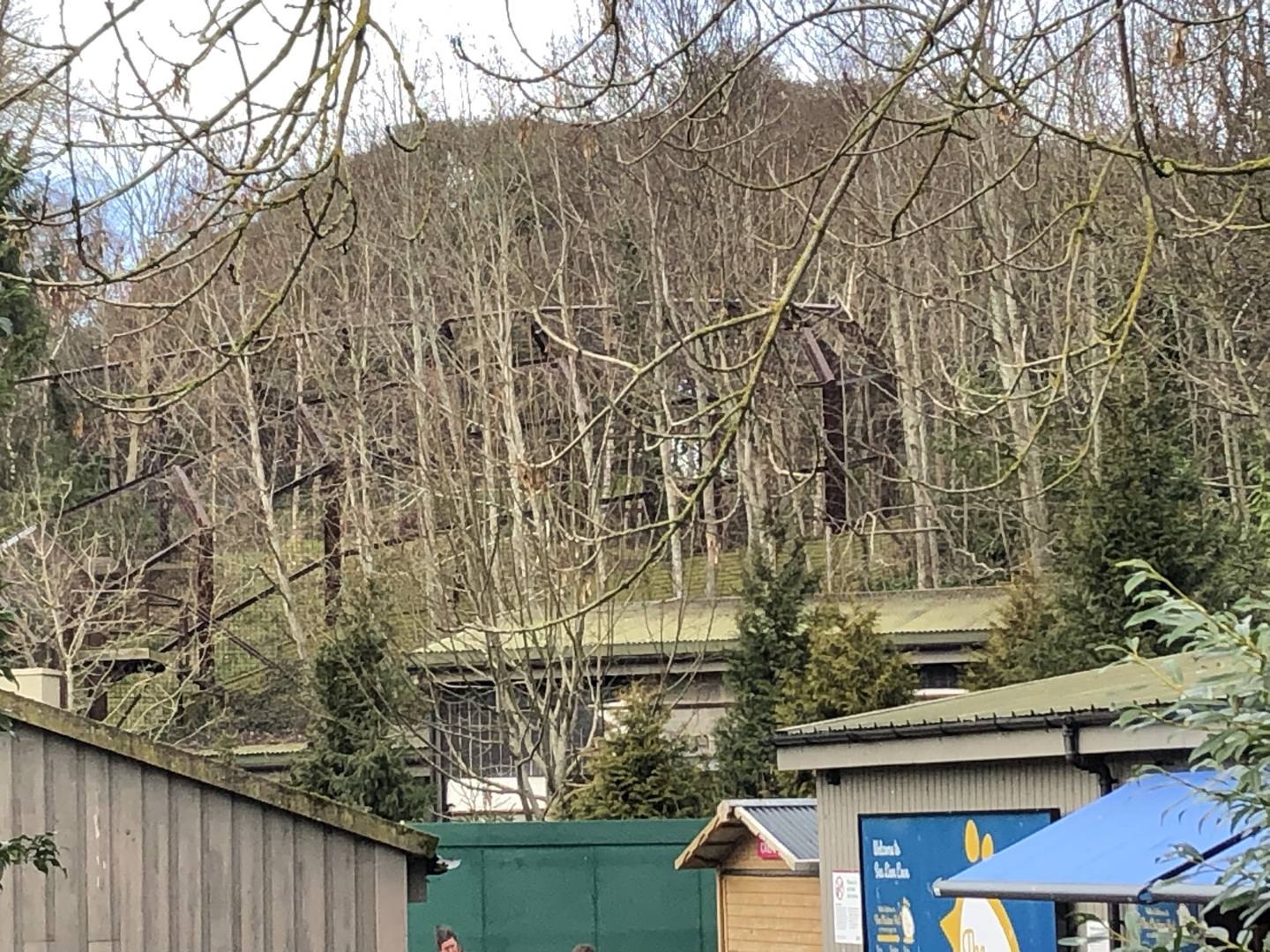 Construction of new building for lions