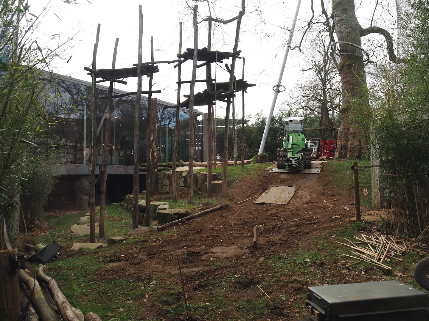 Construction of new climbing structures in gorilla exhibit, 2024-03-09