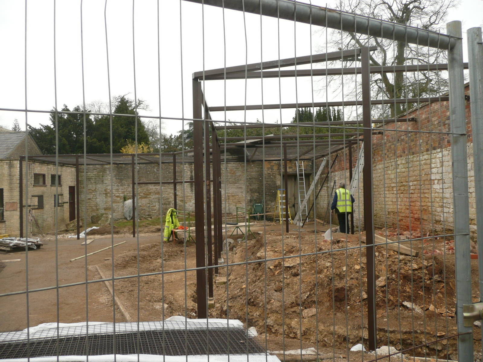 Construction of new clouded leopard enclosure