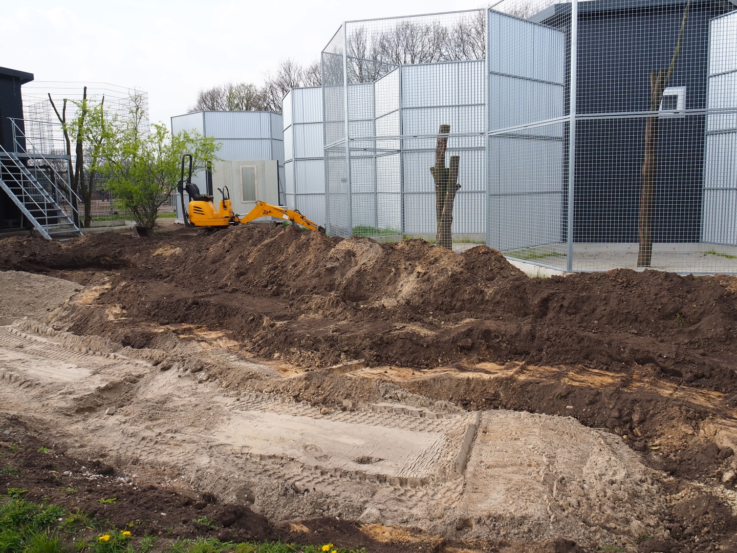 Construction of new exhibits, 2019-04-06