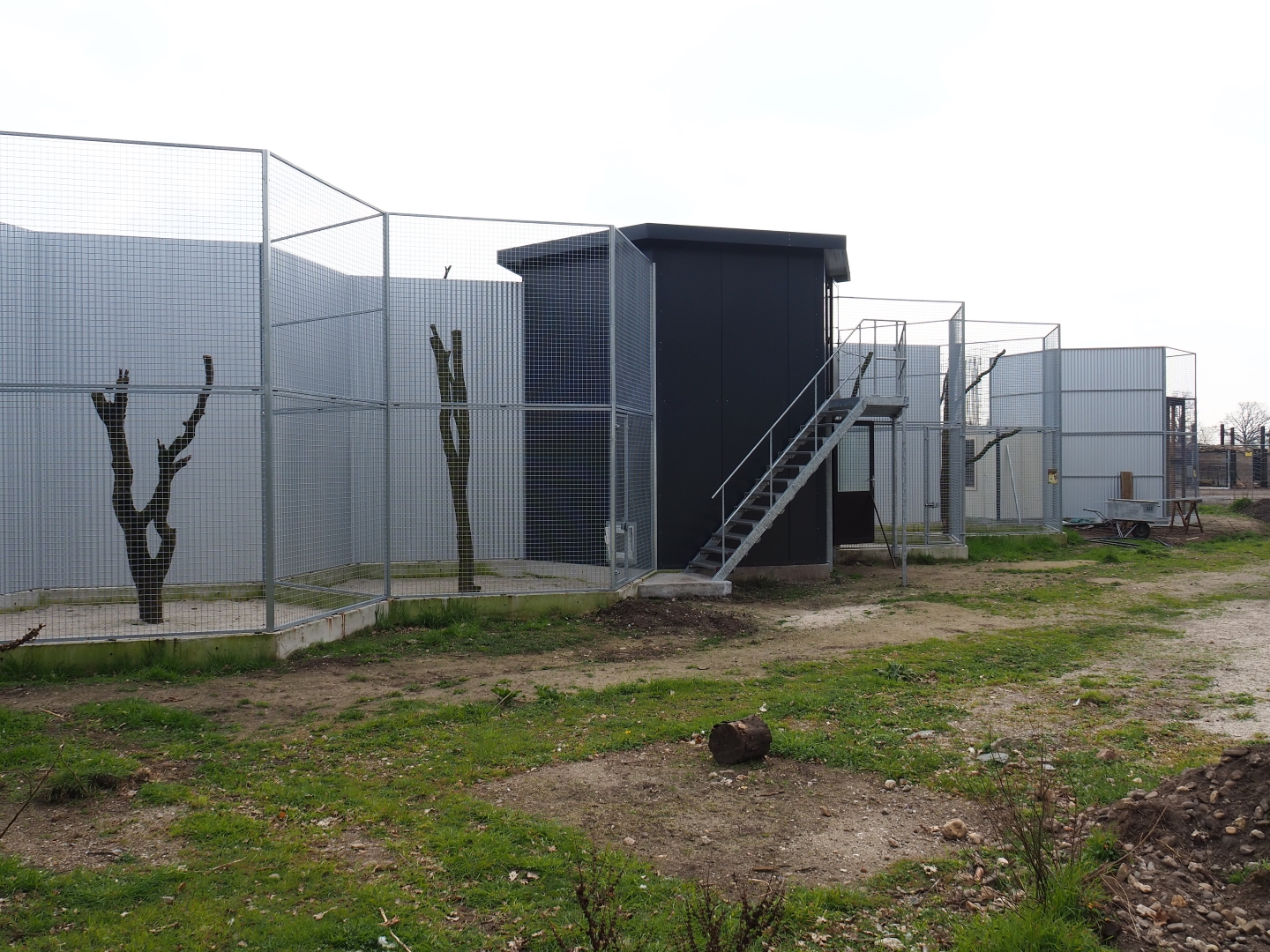 Construction of new exhibits, 2019-04-06