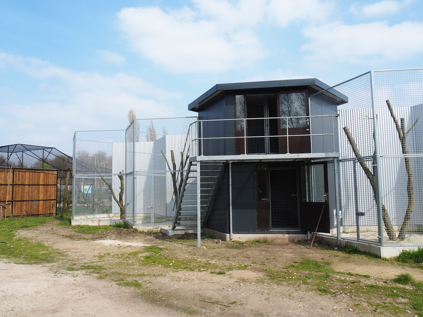 Construction of new exhibits, 2019-04-06