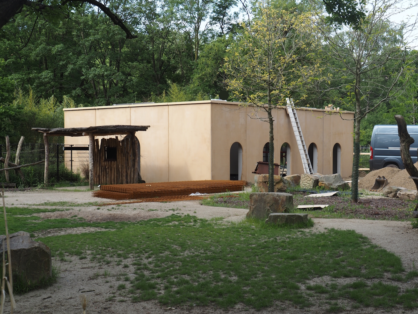 Construction of new house for red river hogs and perhaps other African ungulates between bongo and wild donkey paddocks, 2025-06-03