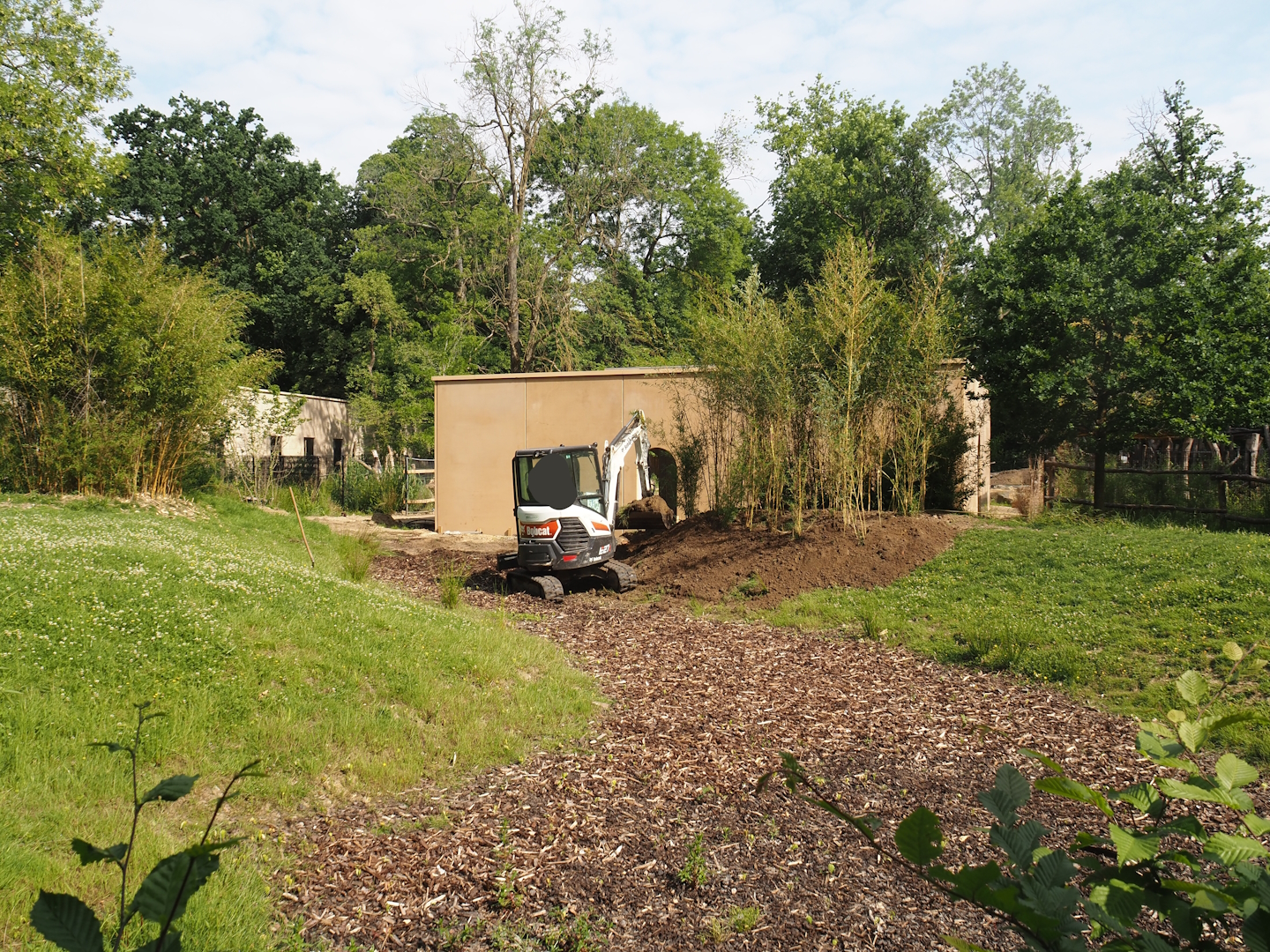 Construction of new house for red river hogs and perhaps other African ungulates between bongo and wild donkey paddocks, 2025-06-03