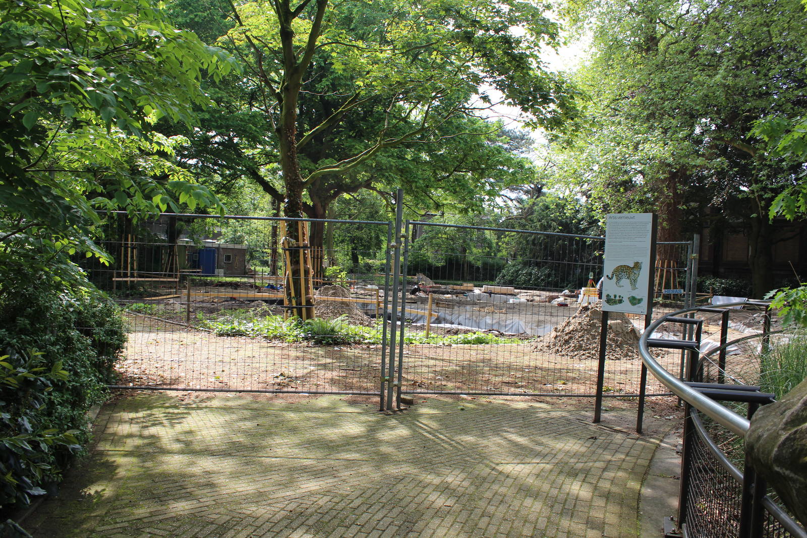 Construction of new Jaguar Enclosure