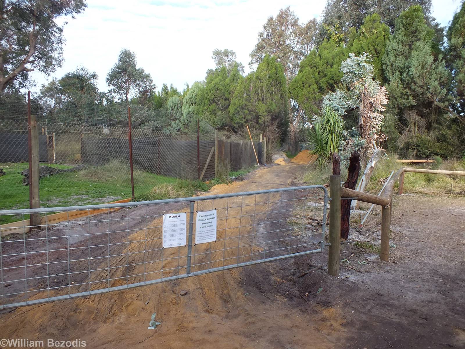 Construction of New Koala Encounter Exhibit - Caversham Wildlife Park