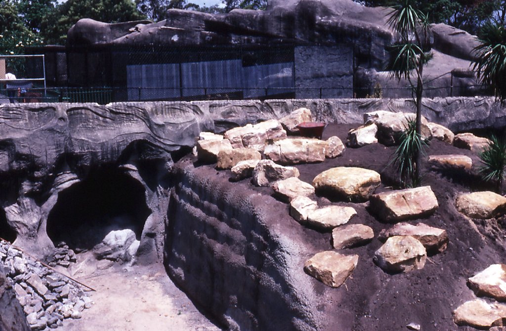 Construction of new lion enclosure, 1982