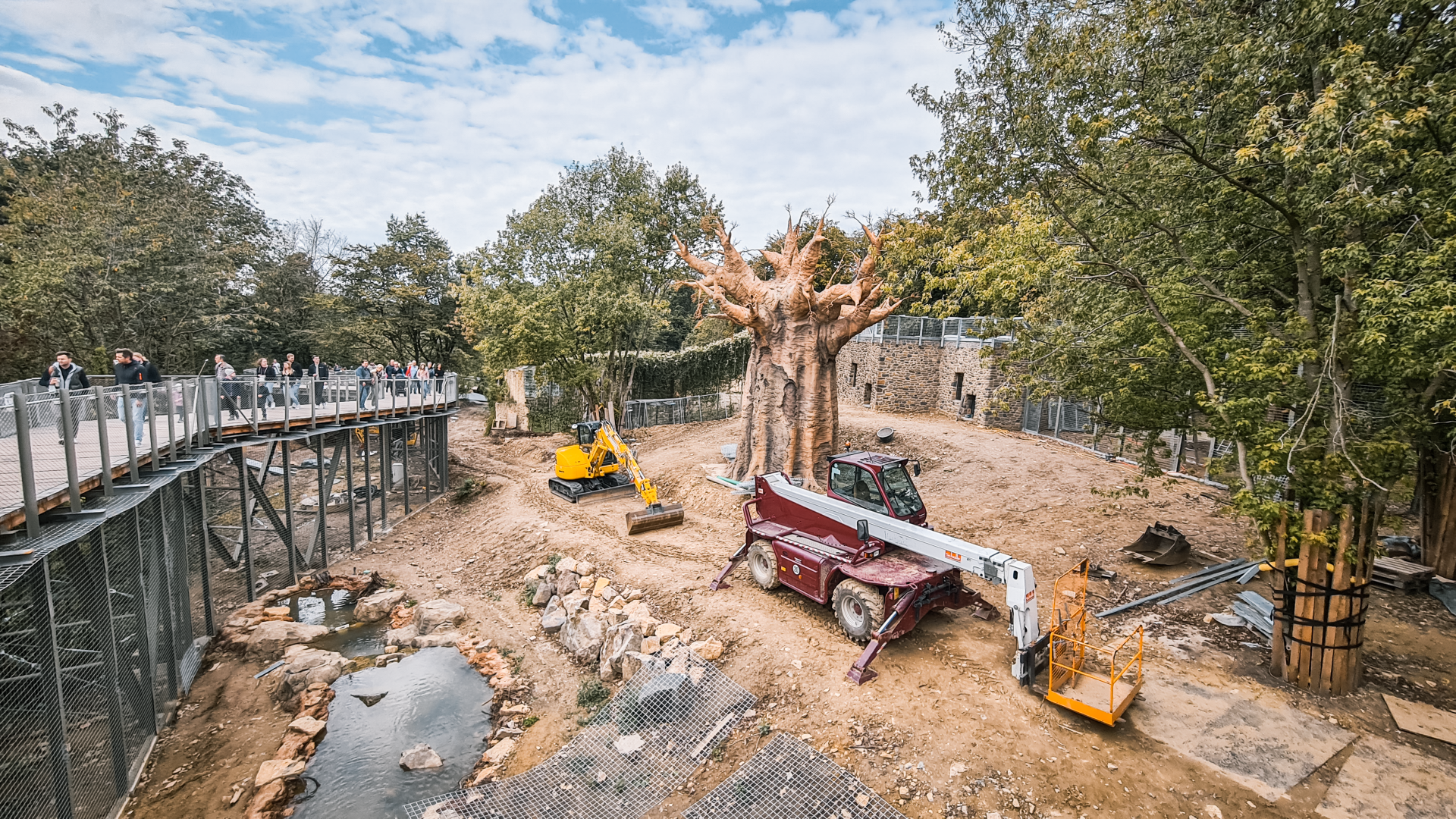 Construction of new lion enclousure