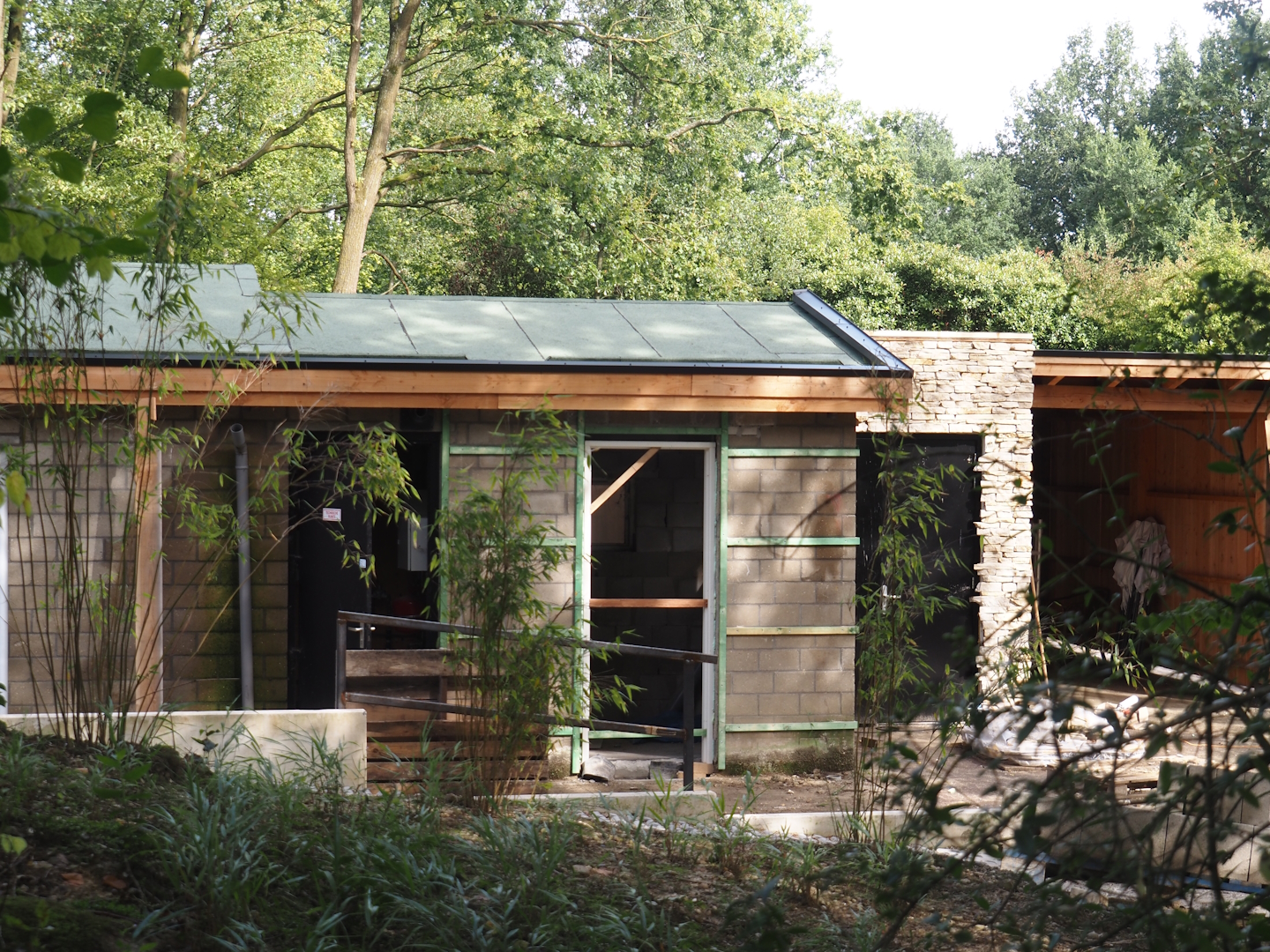 Construction of new Mountain bongo and Pygmy hippopotamus house, 2024-08-21