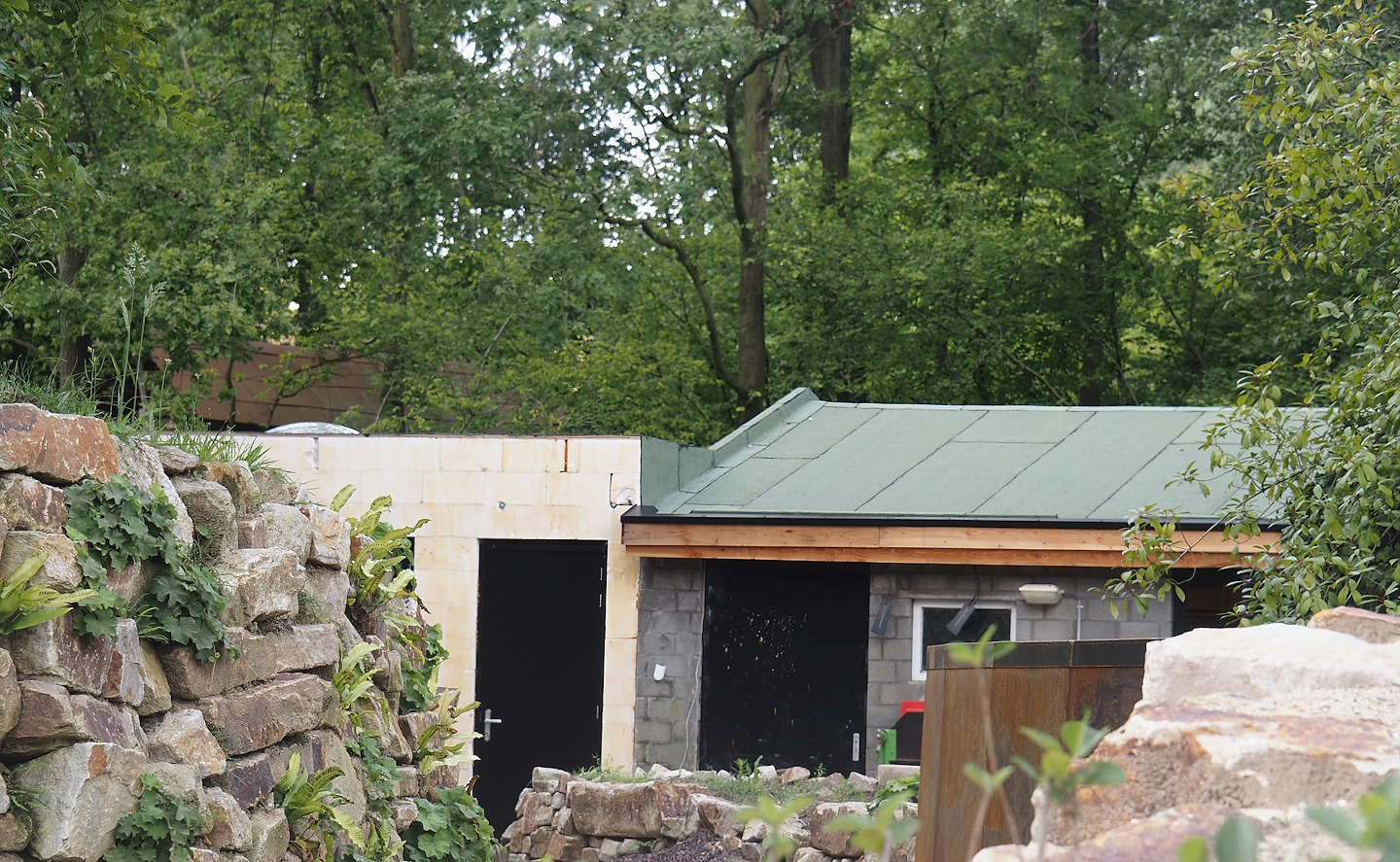 Construction of new Mountain bongo and Pygmy hippopotamus house, 2024-08-21