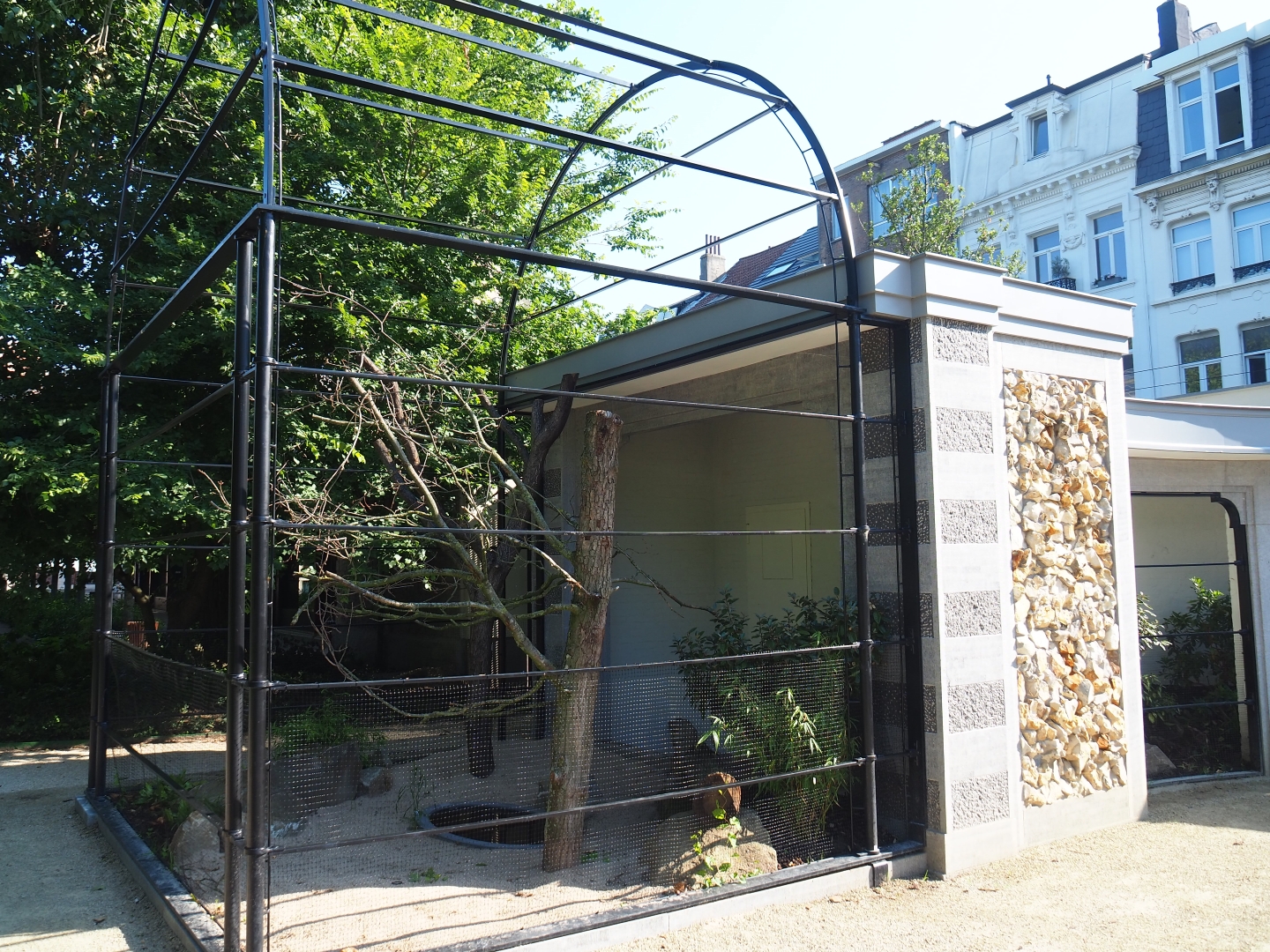 Construction of new parrot aviaries - Reconstruction of 1856 bird-of-prey aviaries, 2019-06-22