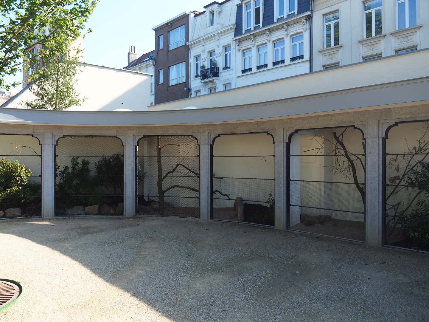 Construction of new parrot aviaries - Reconstruction of 1856 bird-of-prey aviaries, 2019-06-22