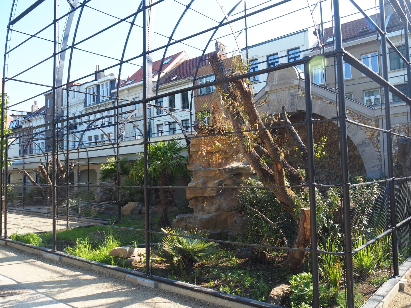 Construction of new parrot aviaries - Reconstruction of 1856 bird-of-prey aviaries, 2019-06-22