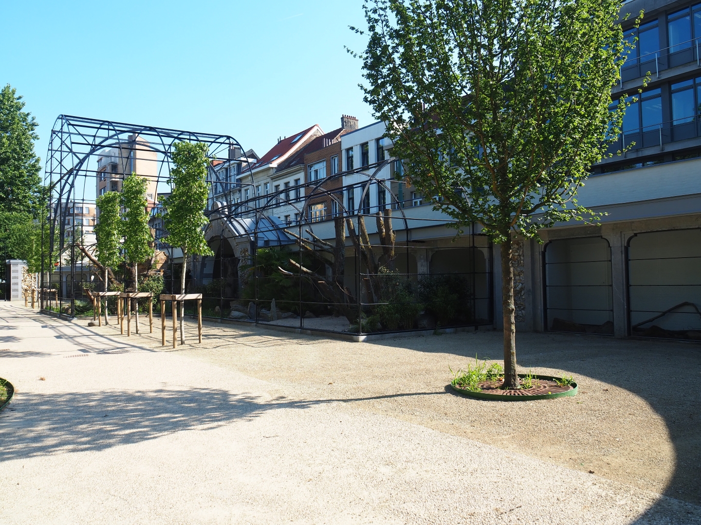 Construction of new parrot aviaries - Reconstruction of 1856 bird-of-prey aviaries, 2019-06-22