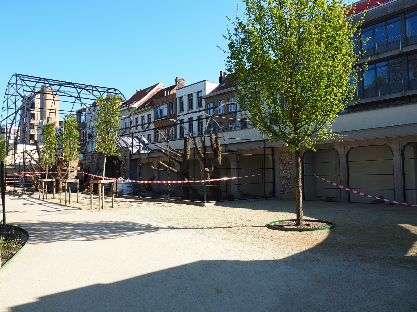 Construction of new parrot aviaries - Reconstruction of old bird-of-prey aviaries, 2019-04-20