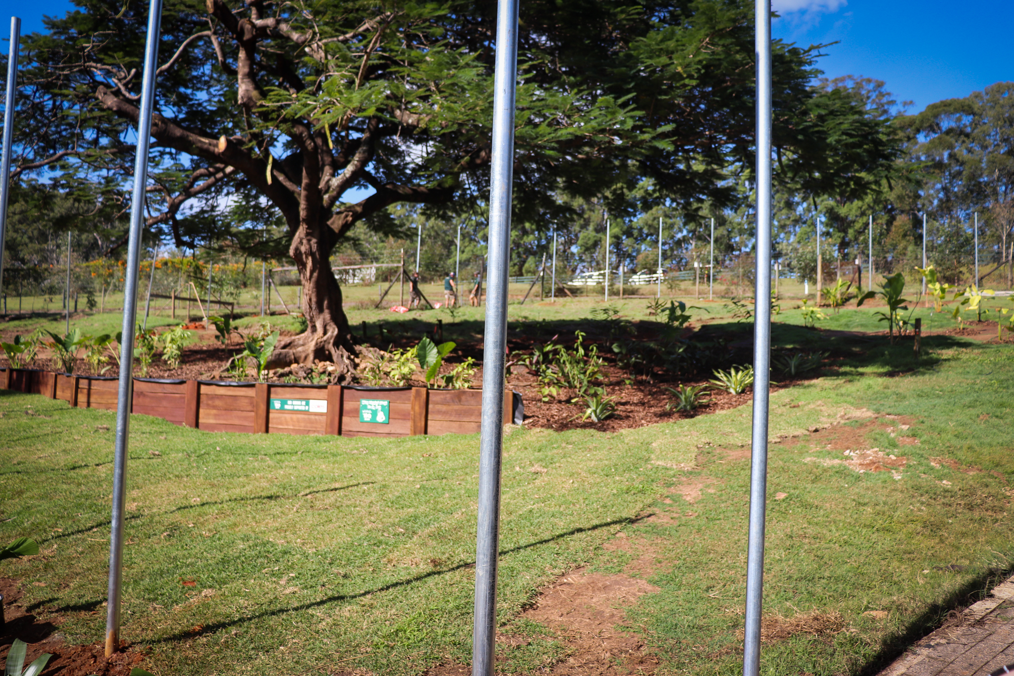 Construction of New Primate Enclosure