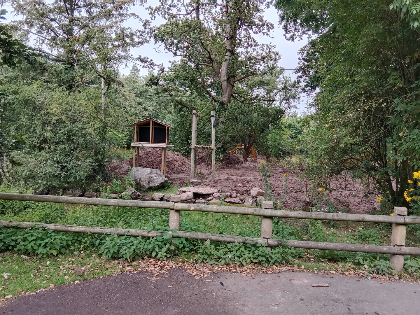 Construction of new siamang enclosure, 24.7.24