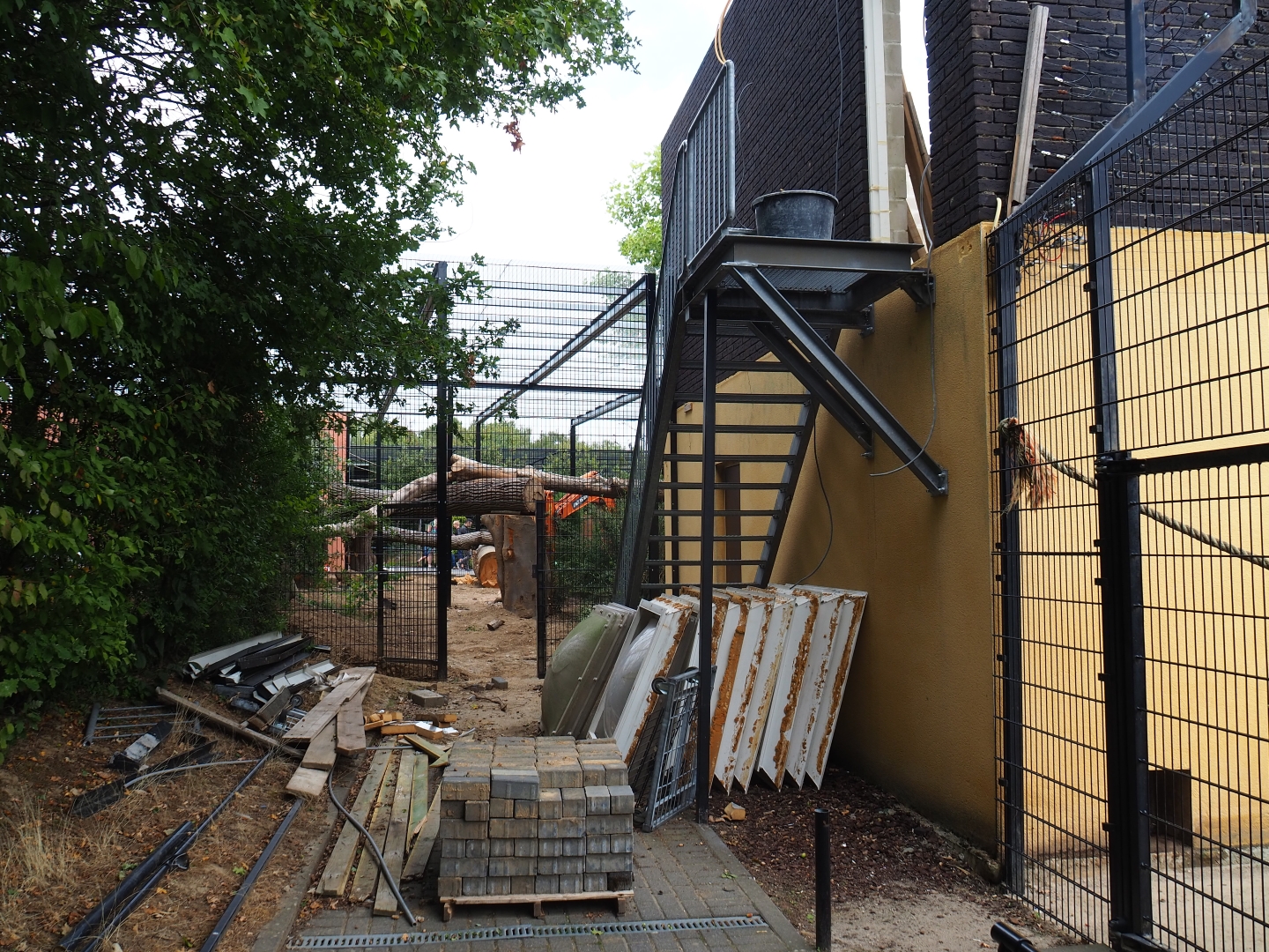 Construction of new Sri Lankan leopard exhibit (Aug 28th, 2018)