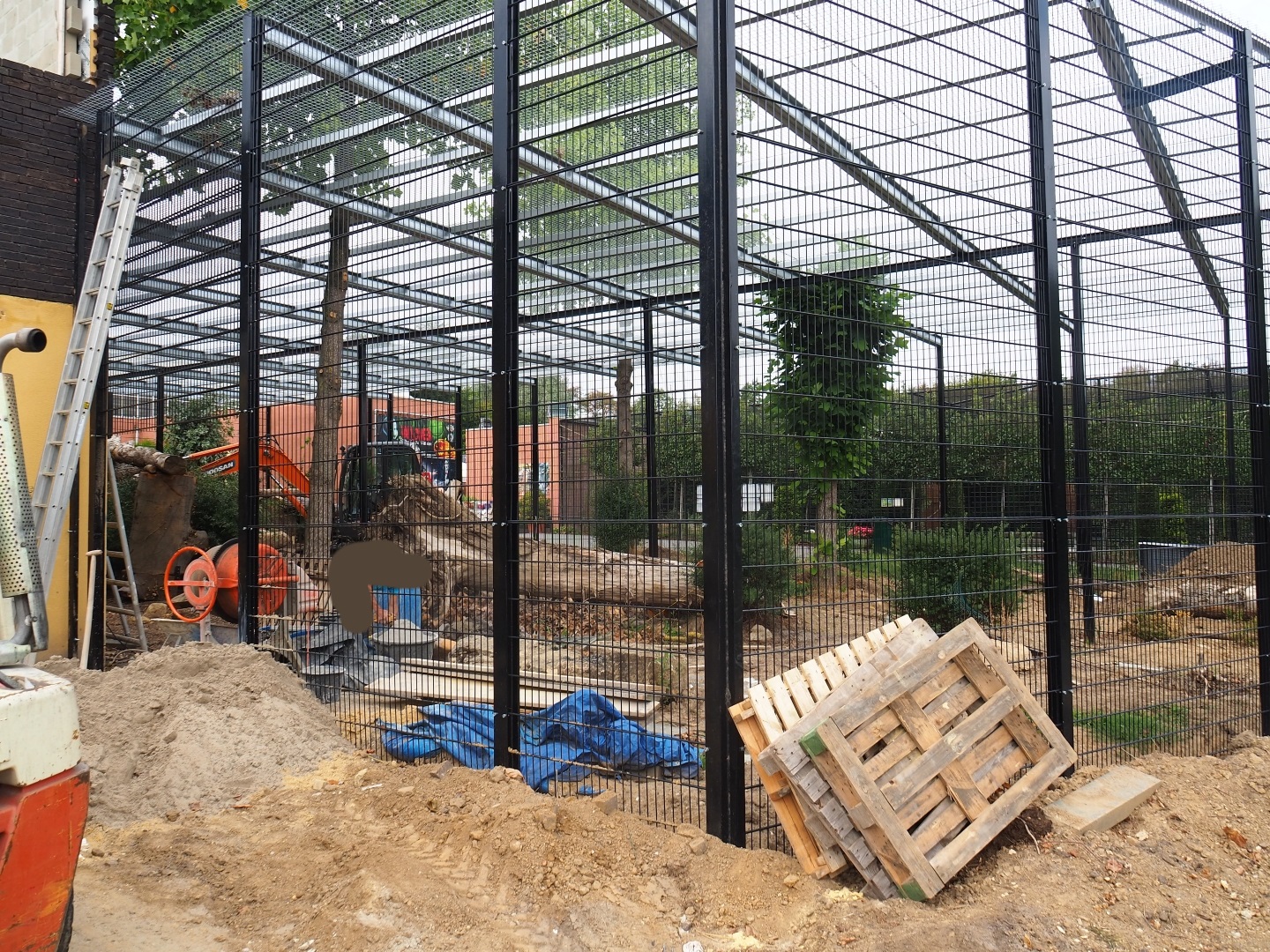 Construction of new Sri Lankan leopard exhibits (Aug 28th, 2018)
