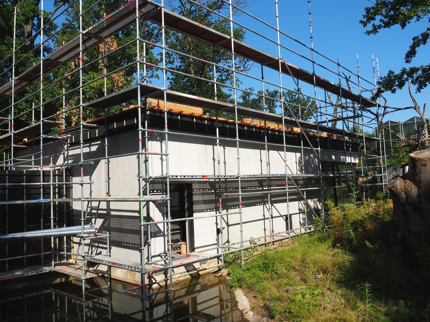 Construction of new Sulawesi crested macaque house, 2023-07-19