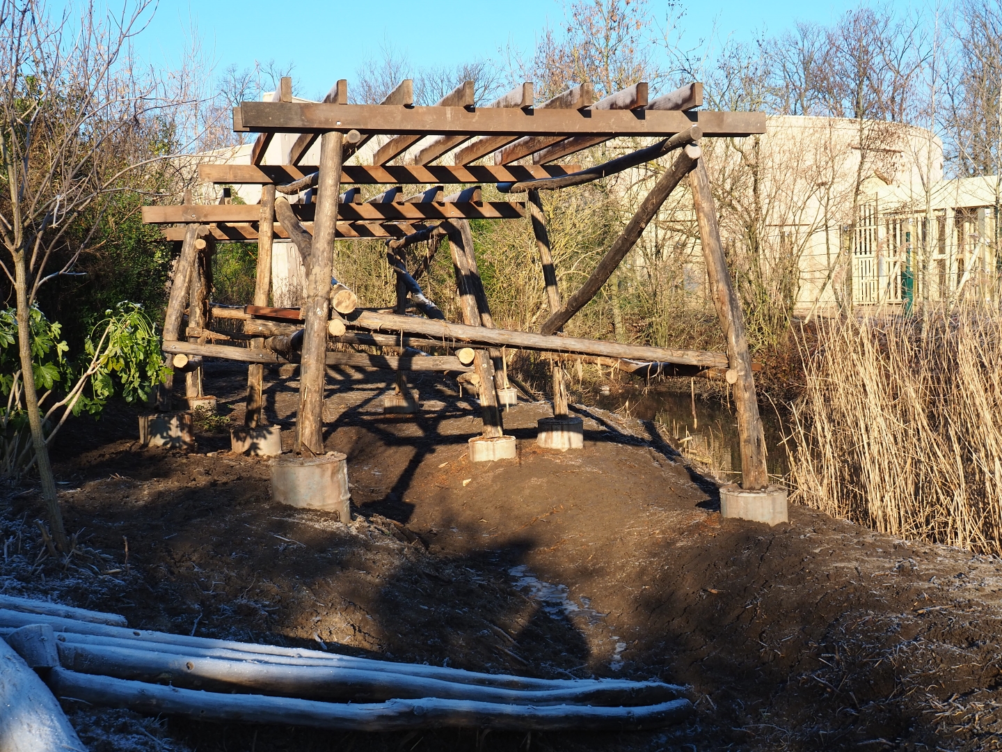 Construction of new viewing area near the elephant exhibit (Jan 20th, 2019)