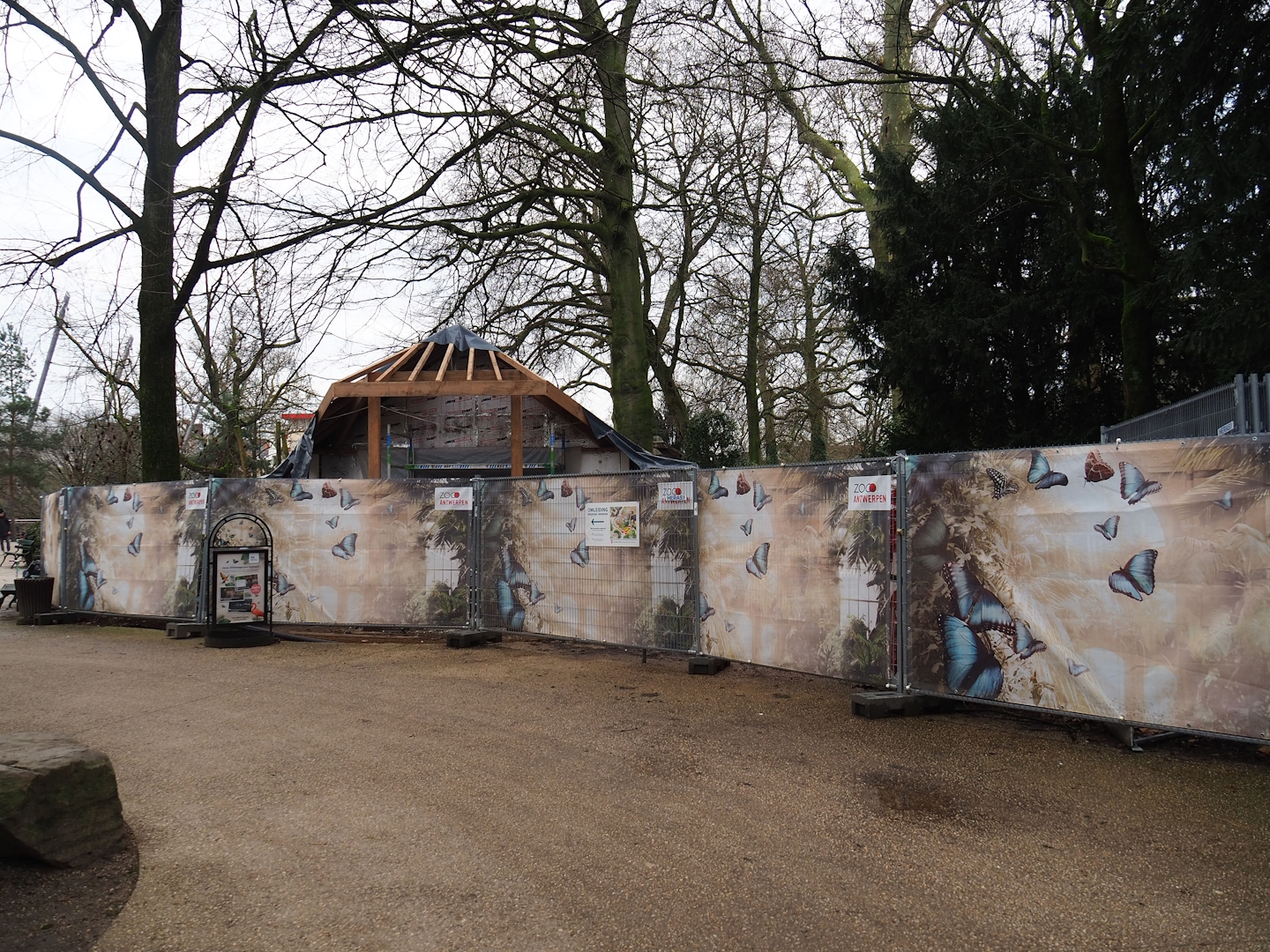 Construction of new waffle house between gorilla exhibit and playground, 2024-02-17