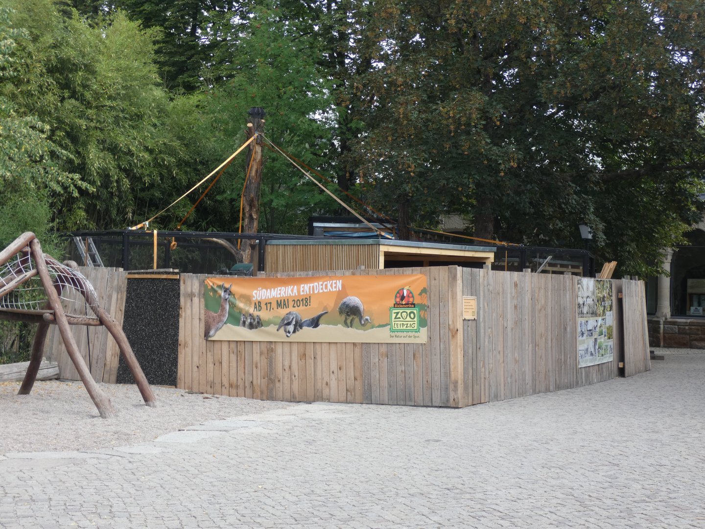 Construction of new walk-through Budgerigar aviary