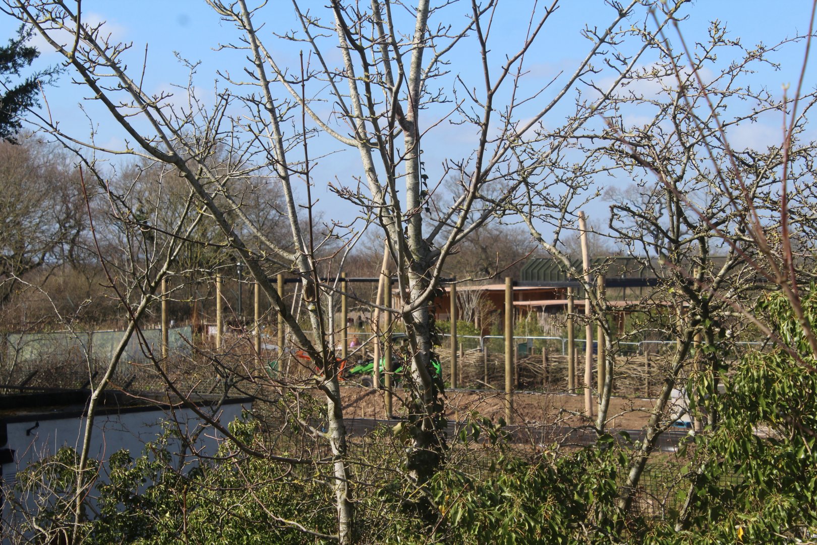 Construction of Peafowl Aviary, 18th March 2022