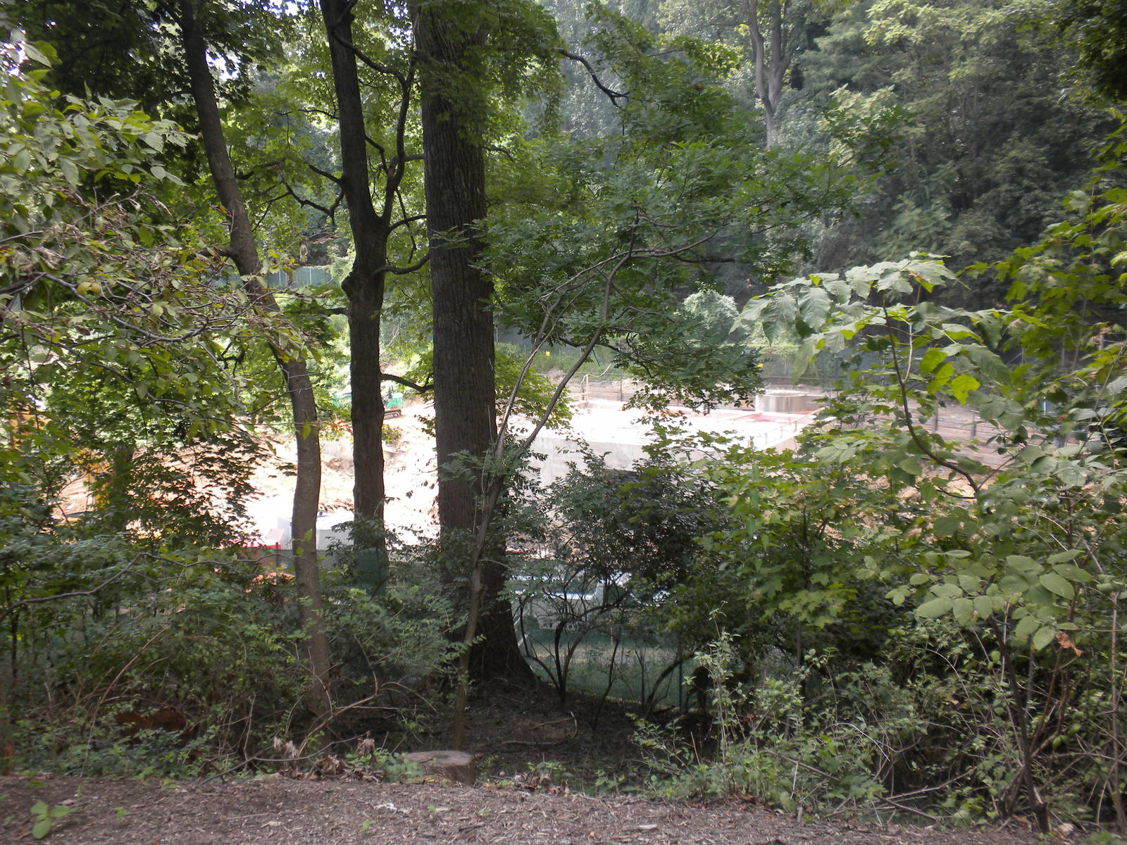 Construction of Sea Lions