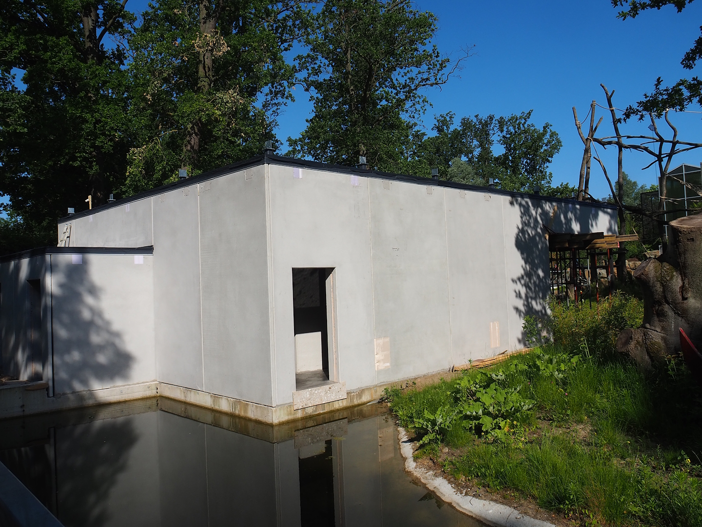 Construction of Sulawesi black crested macaque house, 2023-06-04
