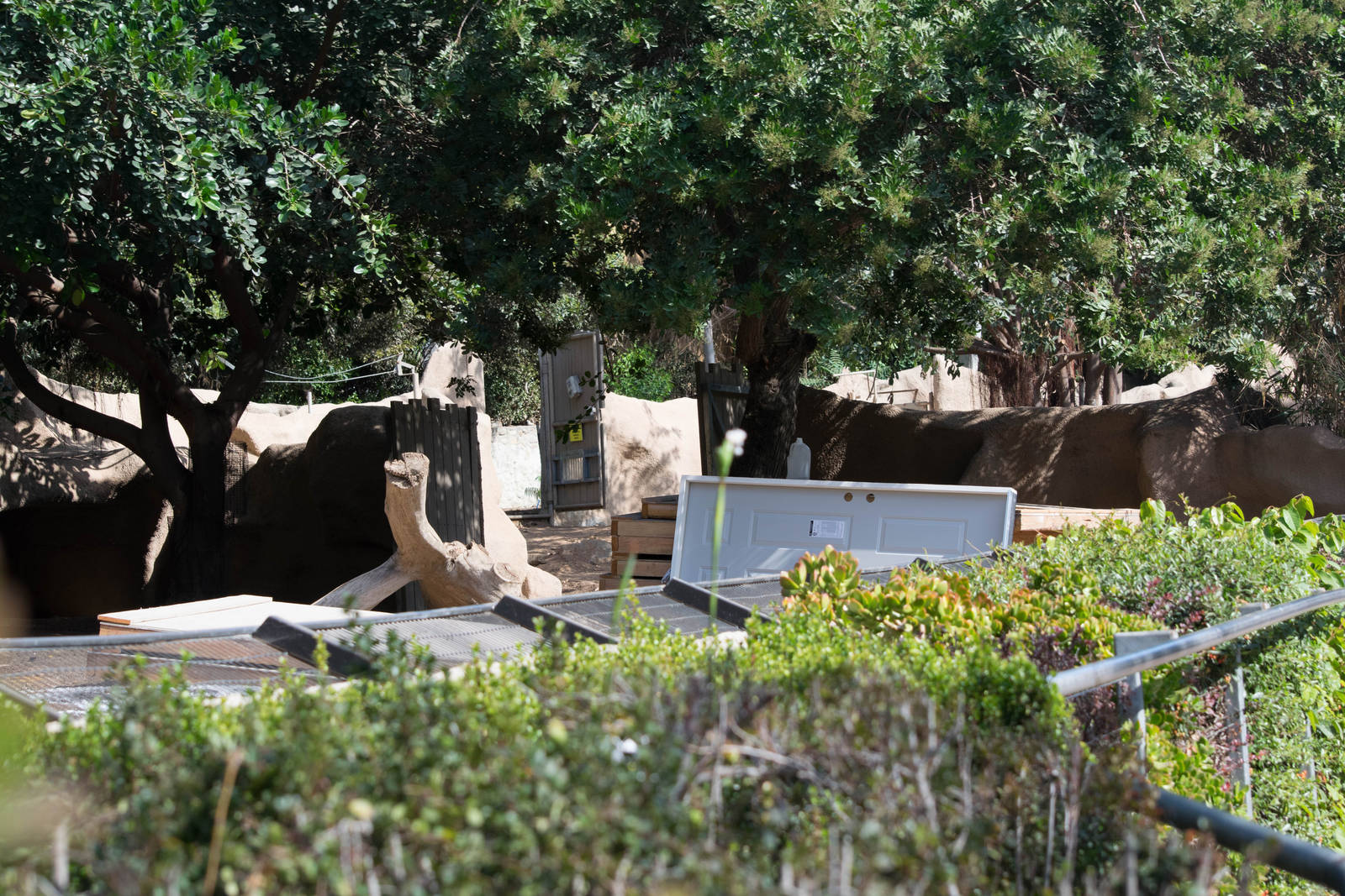 Construction of the new Amur and snow leopard exhibits.