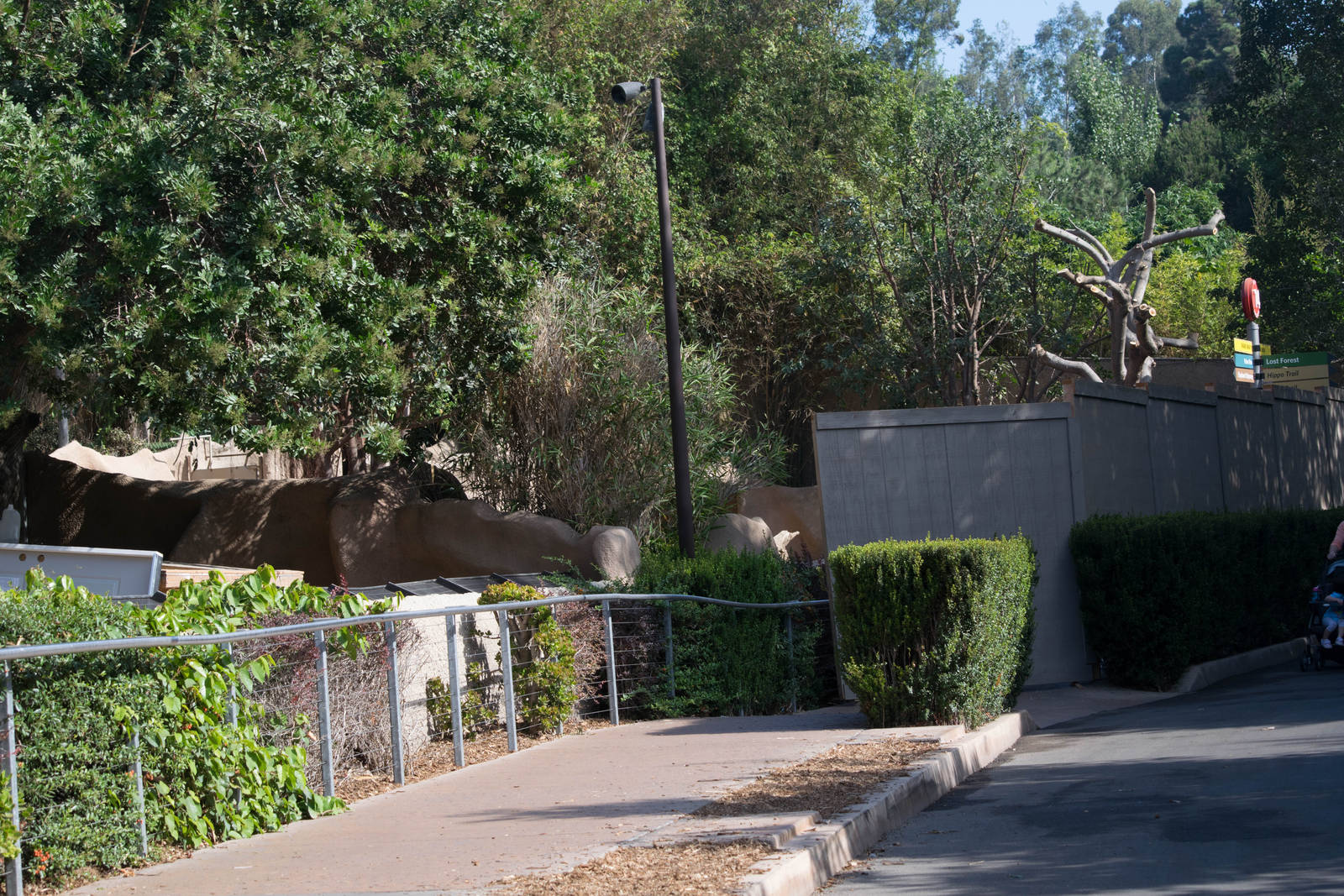Construction of the new Amur and snow leopard exhibits.