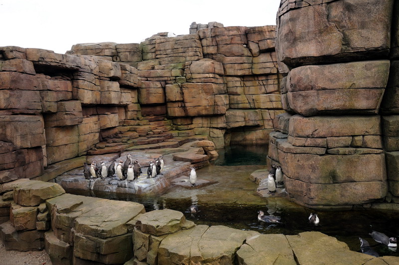Construction of the new Eismeer at Hamburg