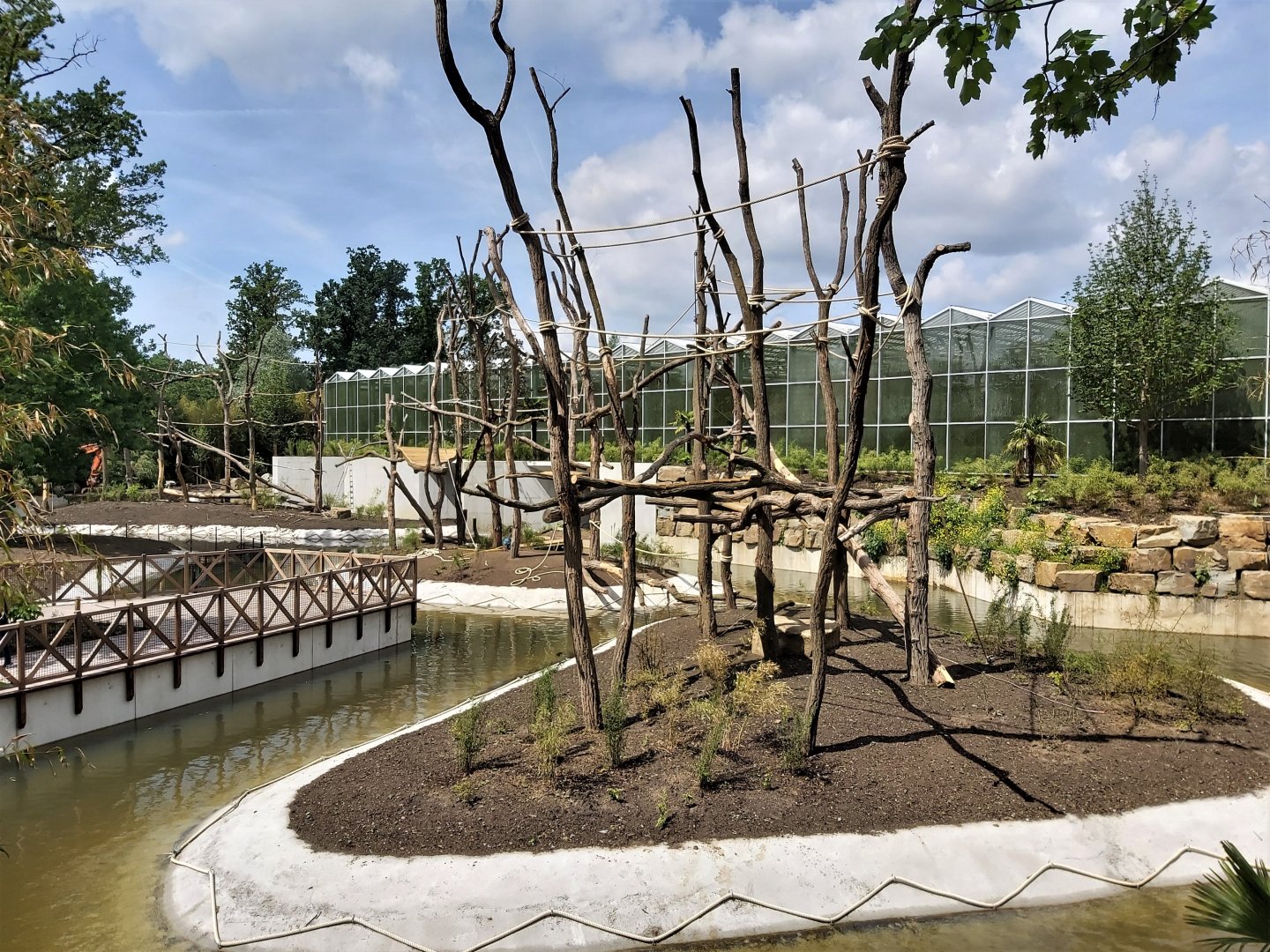 Construction of the new orang-utan enclosure