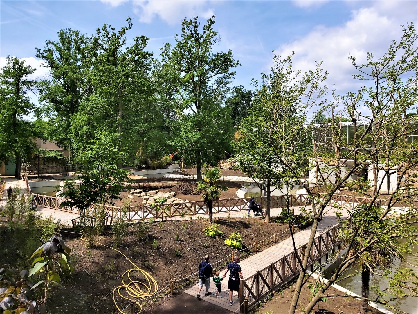 Construction of the new prang-utan enclosure