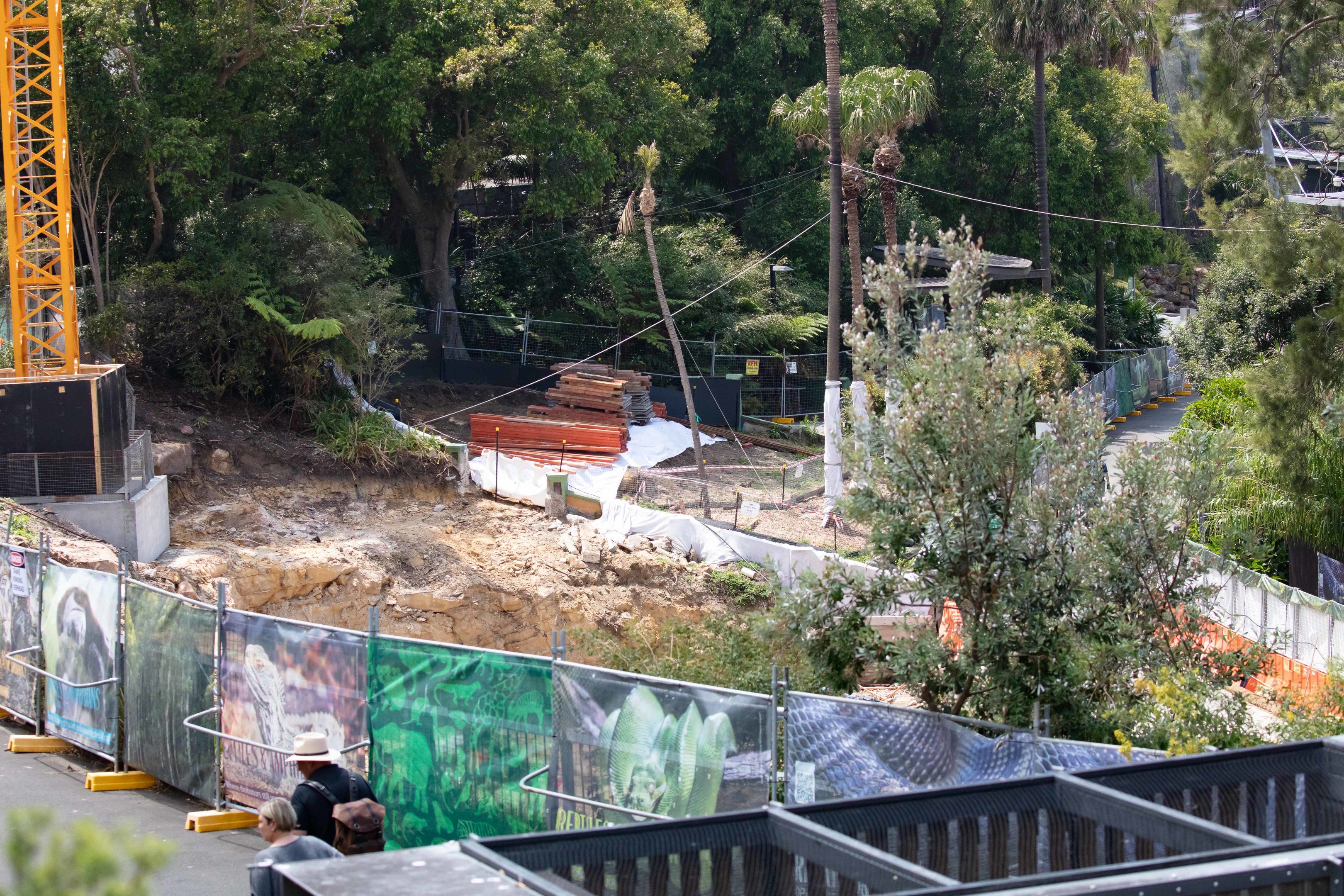 Construction of the new Reptile House