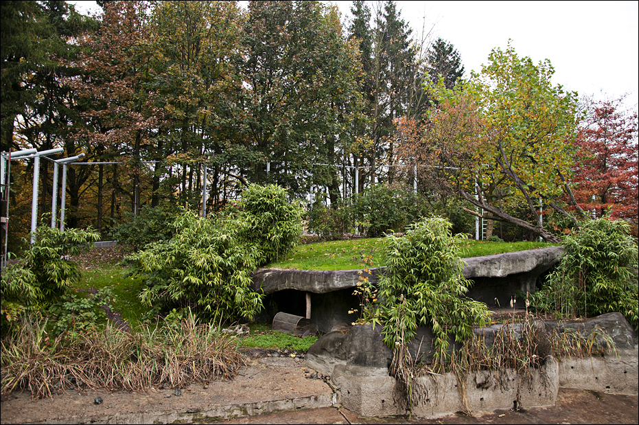 Construction of the new tiger enclosure at Hamburg