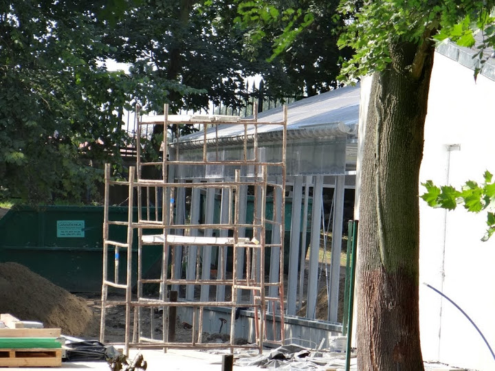 Construction of the pavilion for Okapia johnstoni