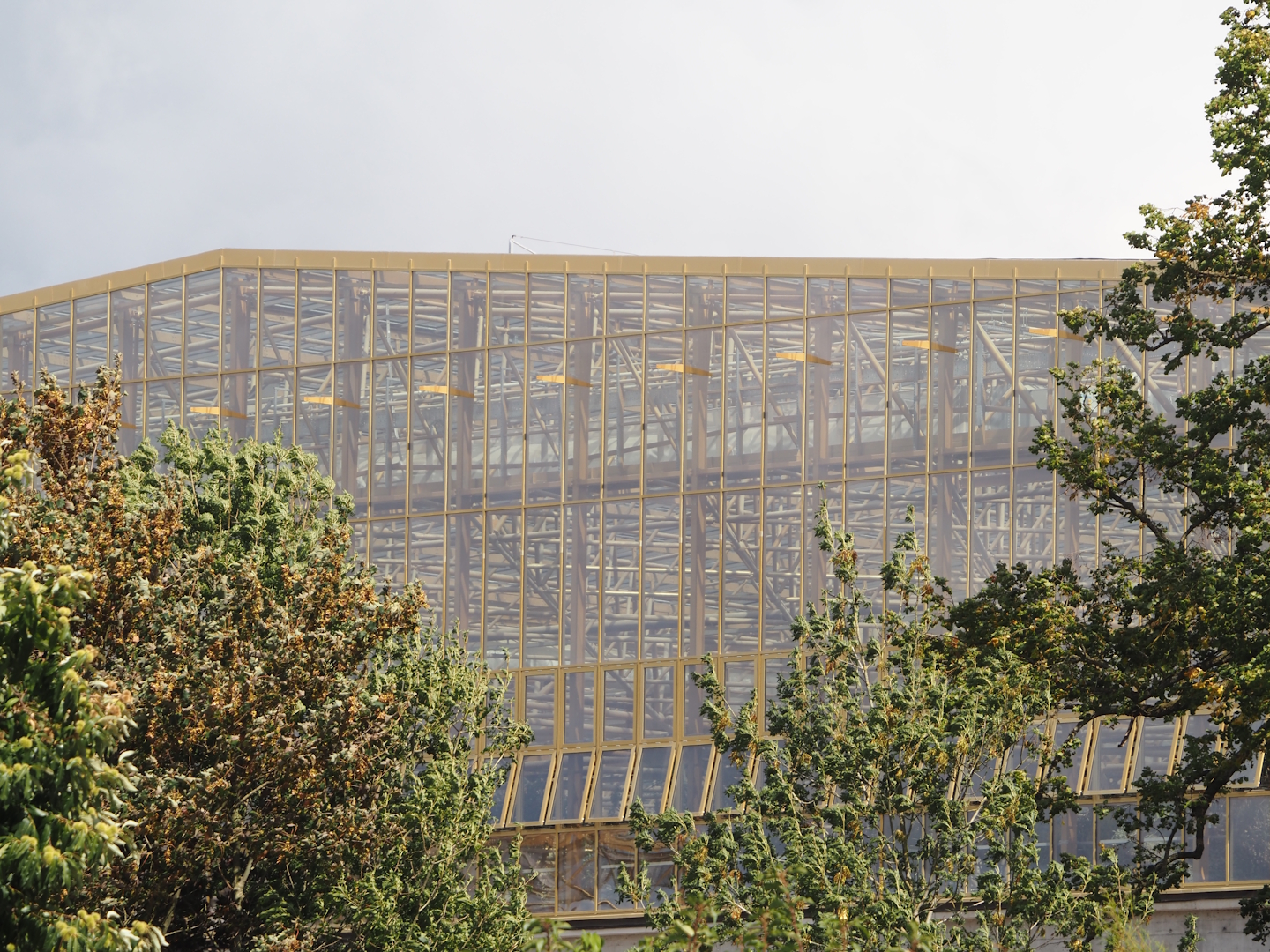 Construction of The Sanctuary, 2025-09-01