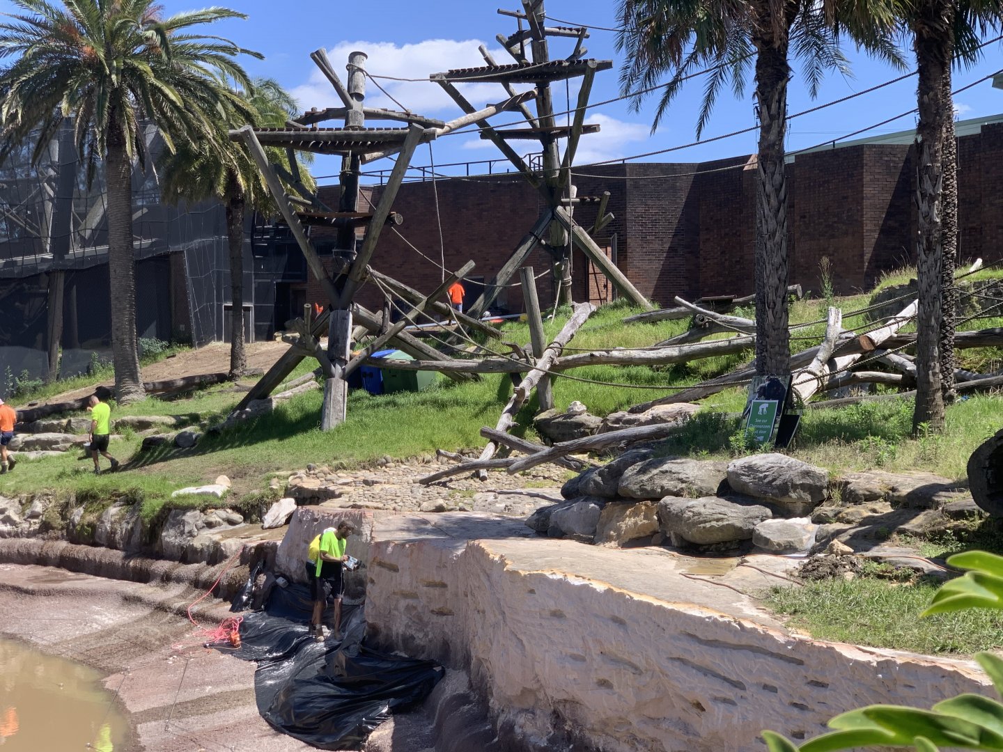 Construction on Chimp Enclosure