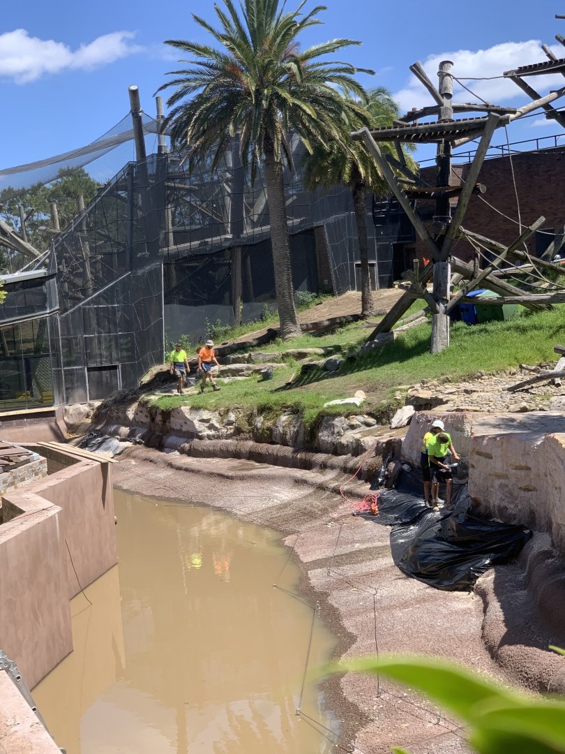Construction on Chimp Enclosure