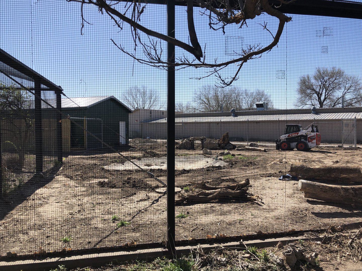 Construction on former Guanaco exhibit. Future Giant Anteater