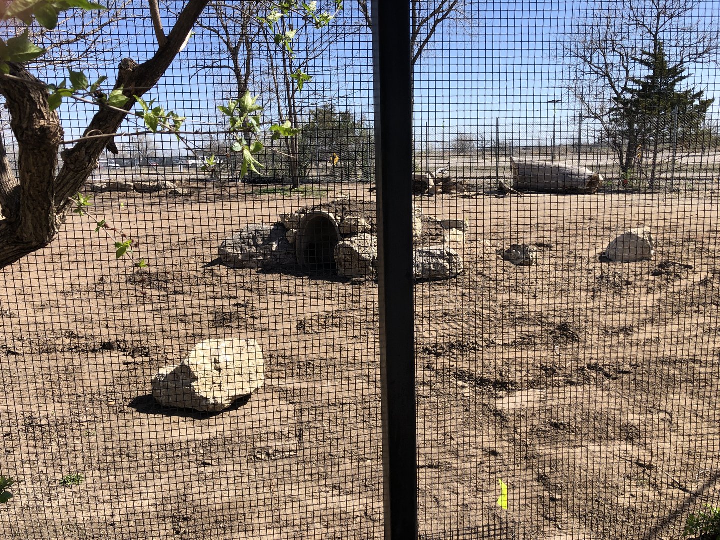 Construction on former Guanaco exhibit. Future Giant Anteater