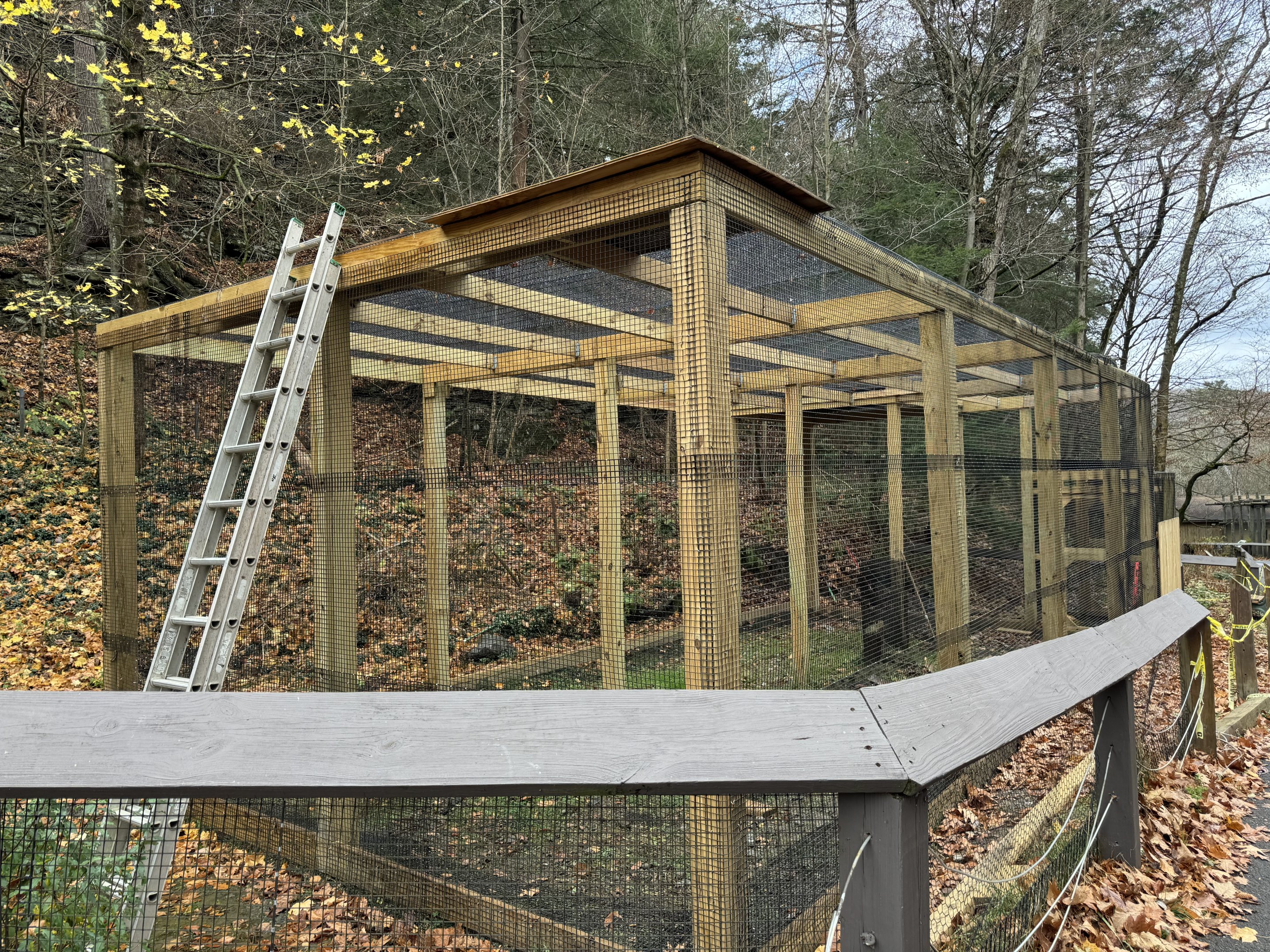 Construction on former tortoise exhibit