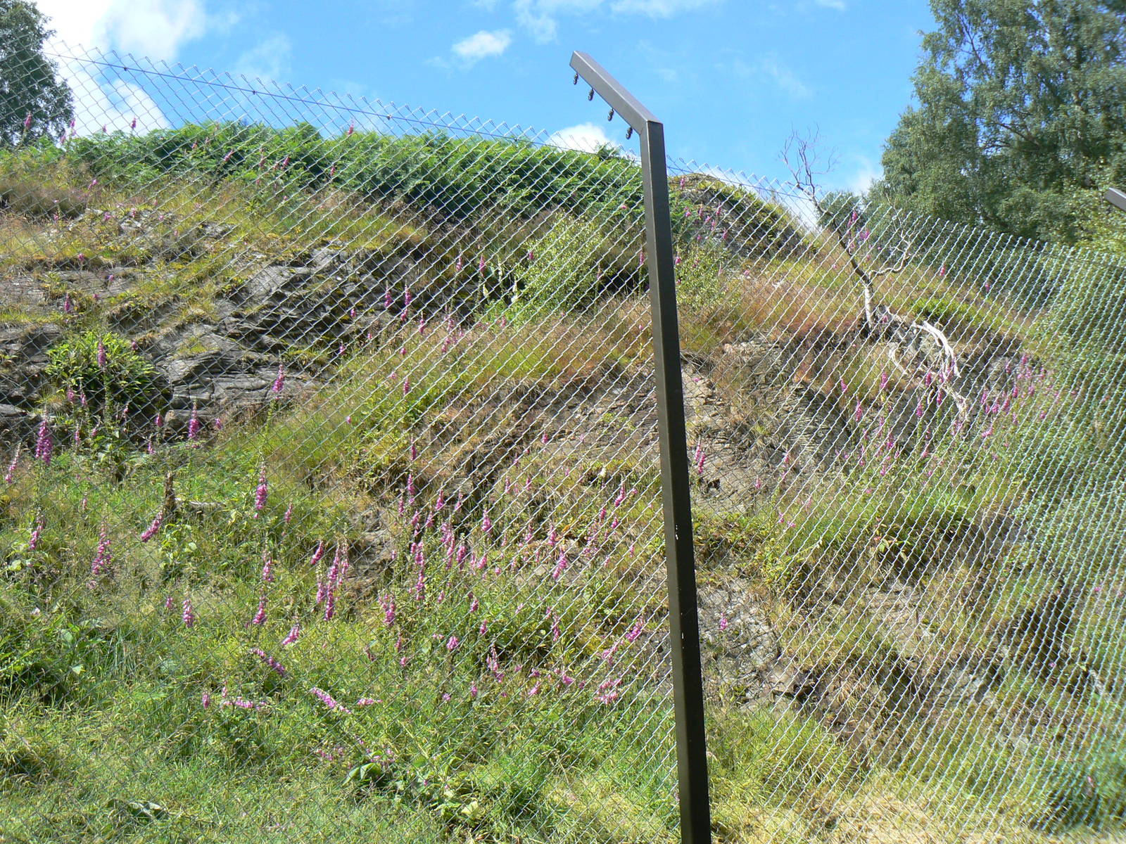 Construction On Future Snow Leopard Enclosure