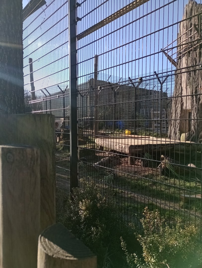 Construction on Lion Pride Lands