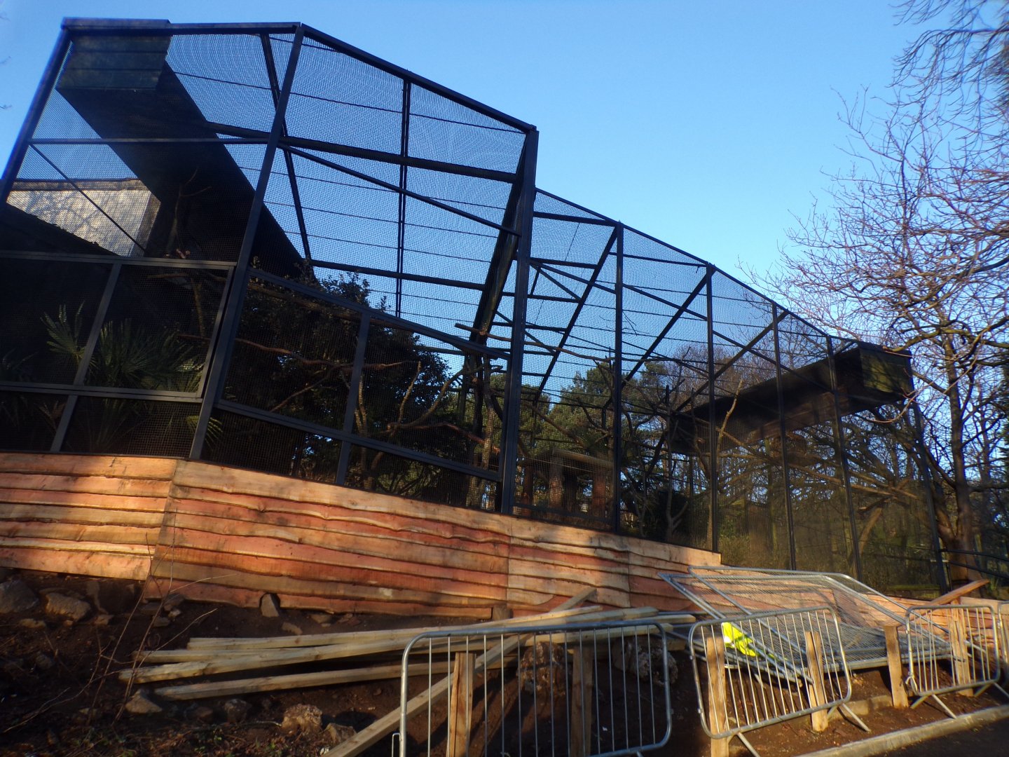 Construction on new L’hoest’s monkey enclosure 1.1.24