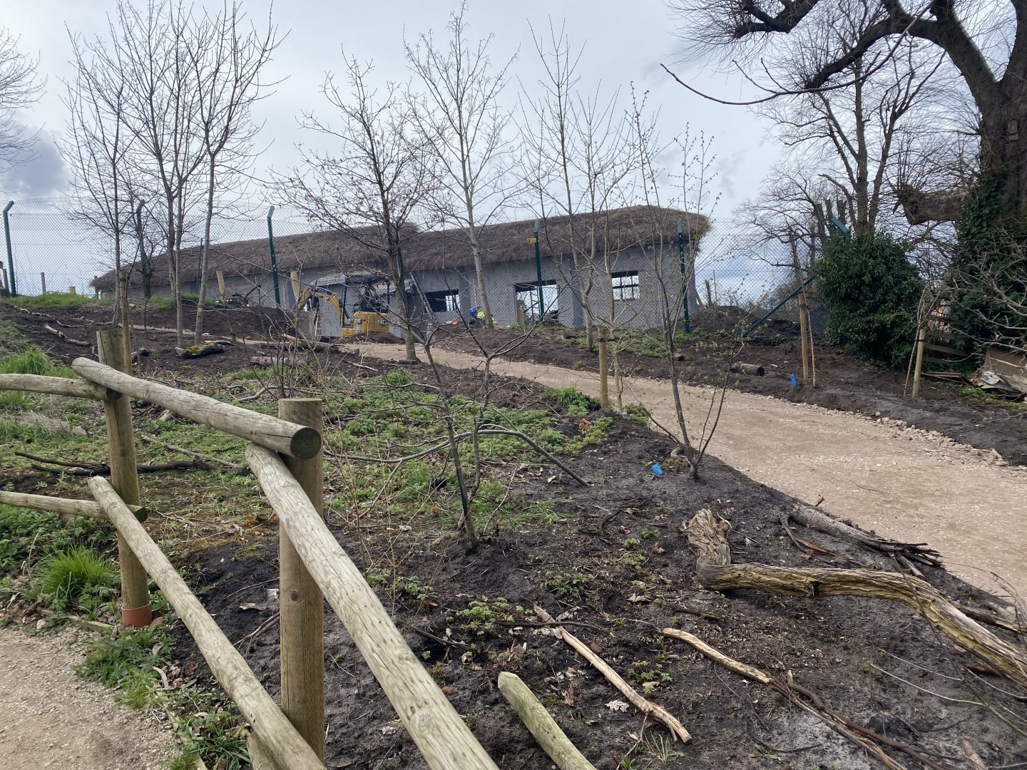 Construction on new painted dog enclosure