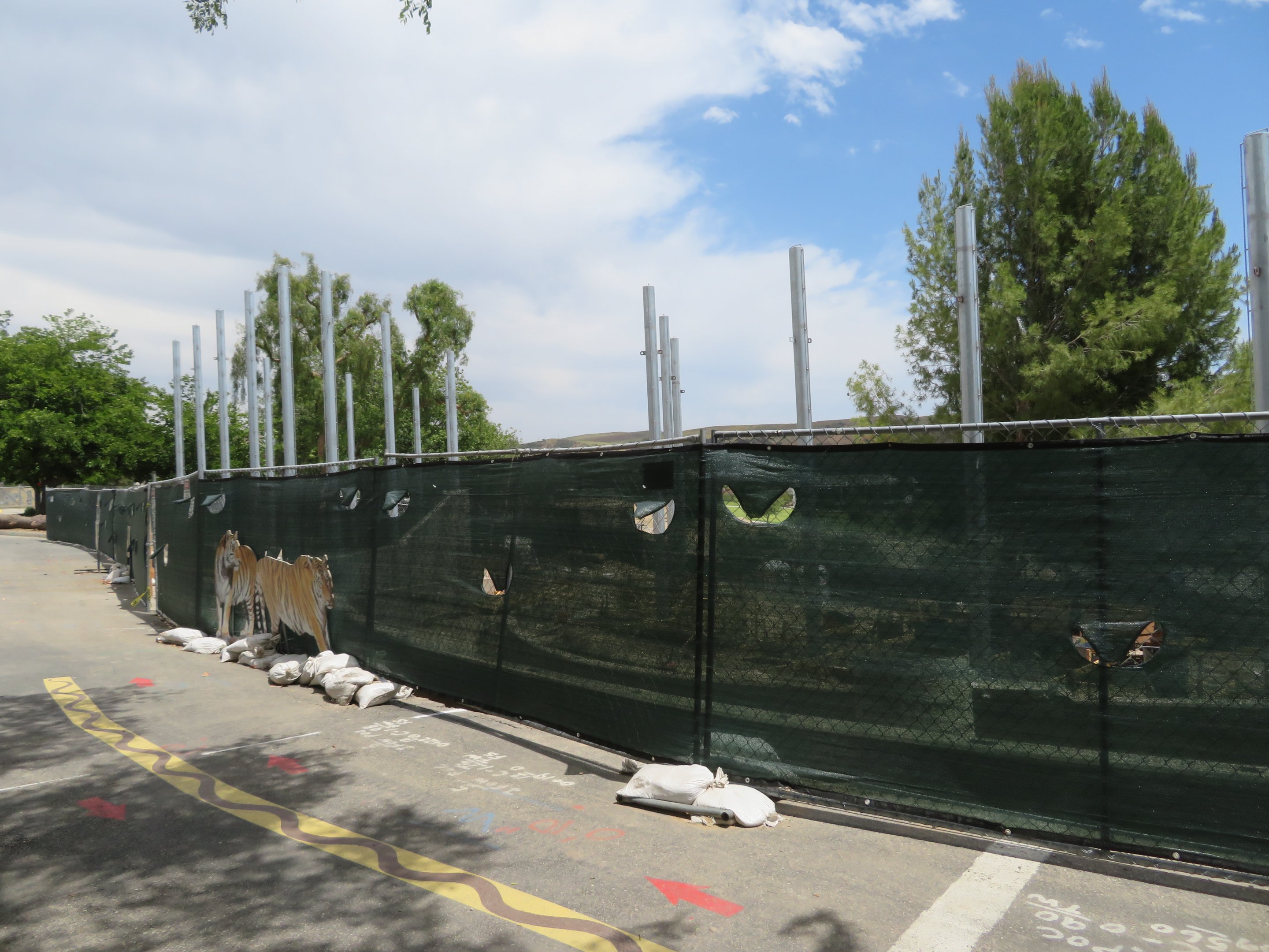 Construction on New Tiger Exhibit