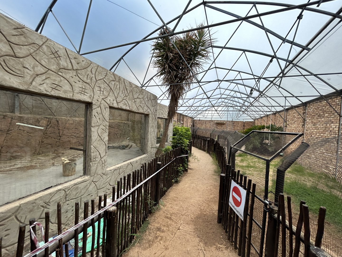 Construction on New West African Dwarf Crocodile Enclosure (Osteolaemus tetraspis)
